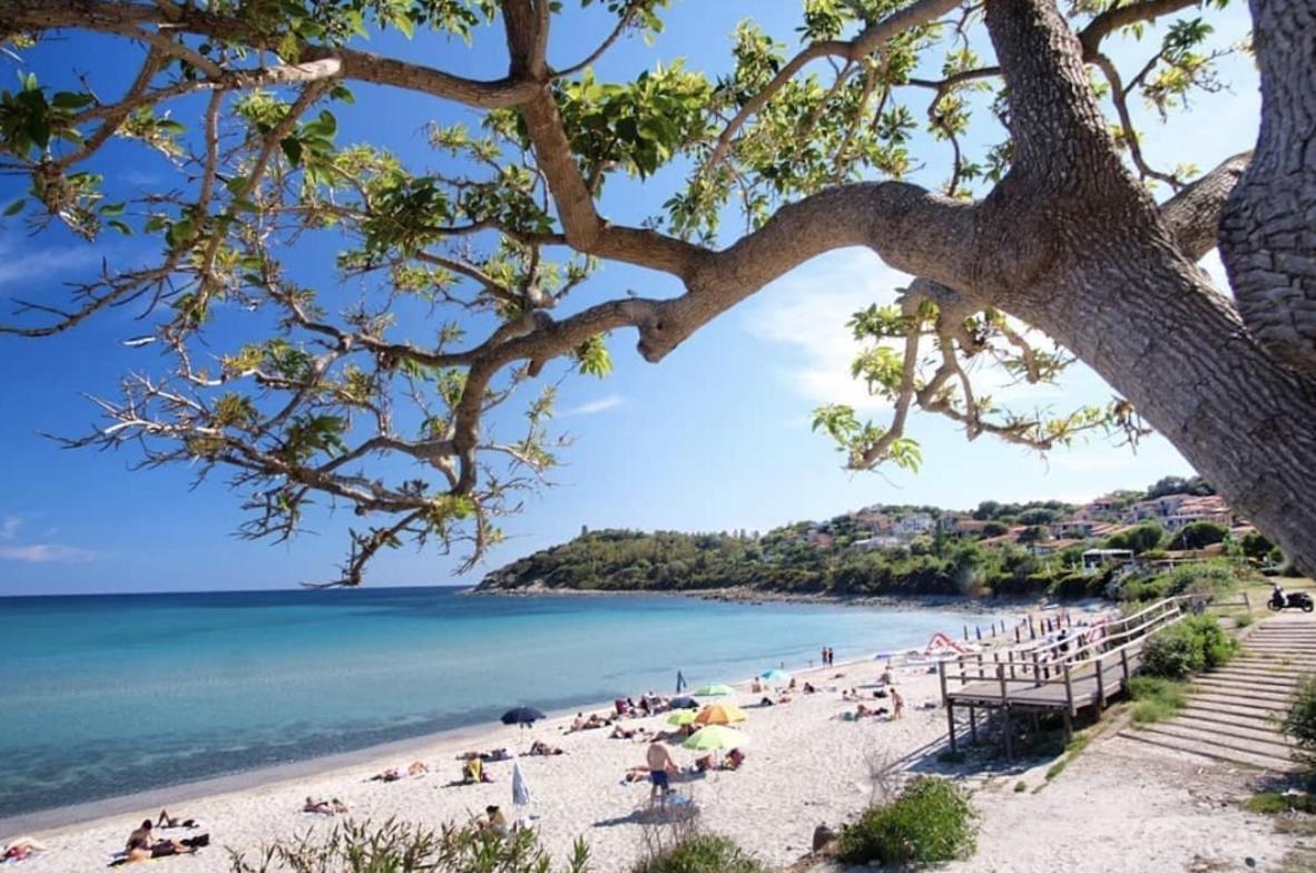 Appartamenti Gaimaro' A 50 M Dalla Spiaggia Àrbatax Exteriör bild